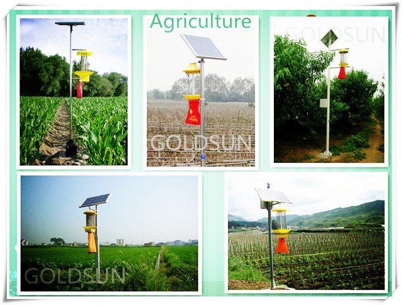 Solar Farm/Garden Insect/Pest Killer Lamp, Healthy, Green, Pollution-Free