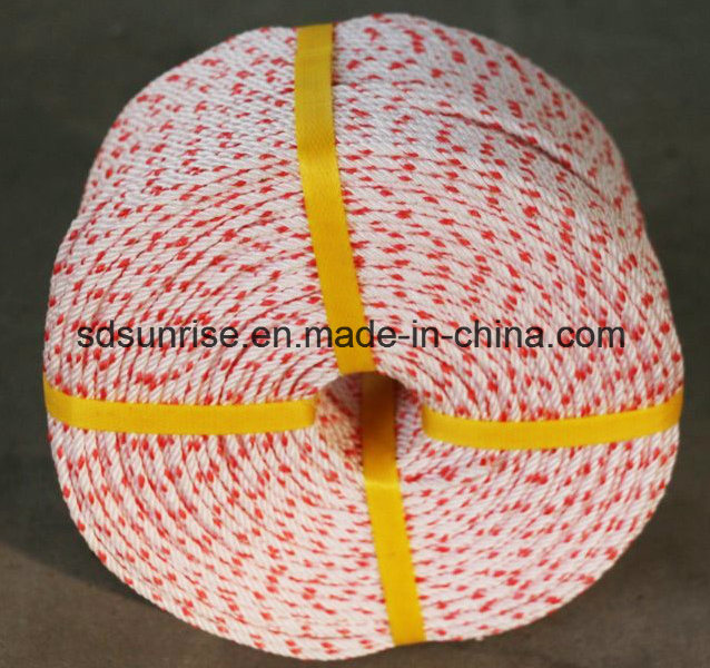 Hot Selling PP Danline Rope 3mm to 5mm