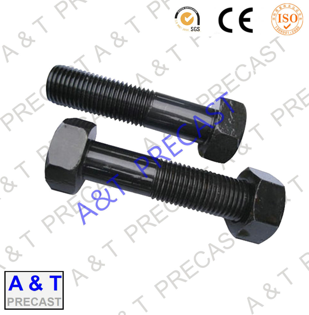 Special Shaped/Carbon Steel/Stainless Steel/Ring Lifting Eye Bolt in High Quality