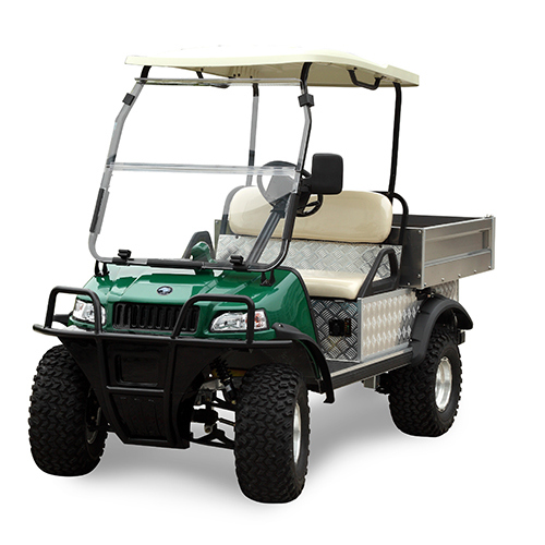 Electric Utility Cart with Mini Cargo Truck (DEL2023DUB, 2-Seater)