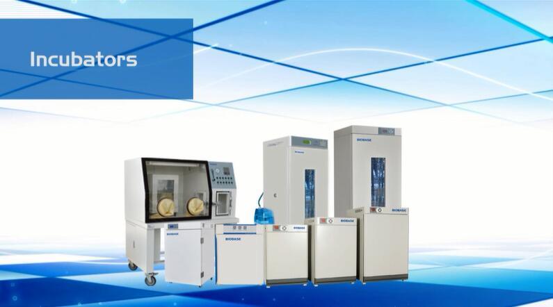 Bjpx-M (II) & M (III) Series Mould Incubator with Large Capacity