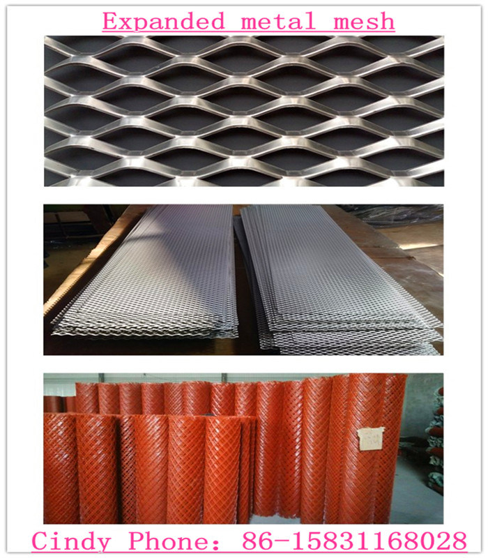 Anping Galvanized Steel Expanded Metal Roll (XA-EM014)