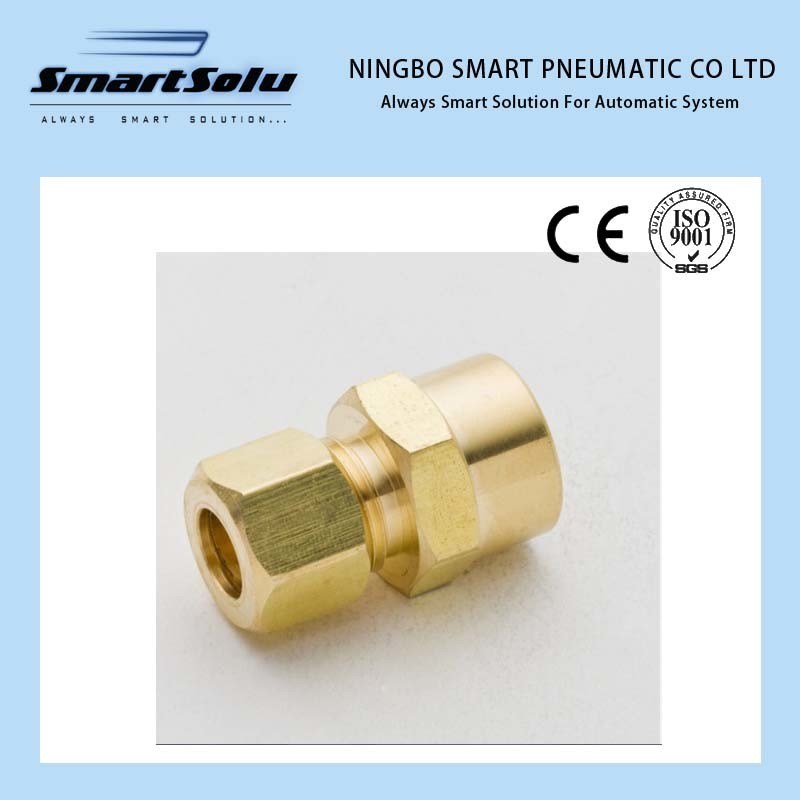 Female Connector Brass Fittings Compression Pipe Sleeve Fittings