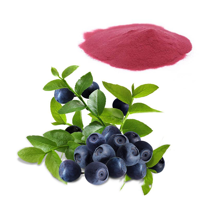 100% Natural High Quality Freeze-Dried Blueberry Powder with Good Taste