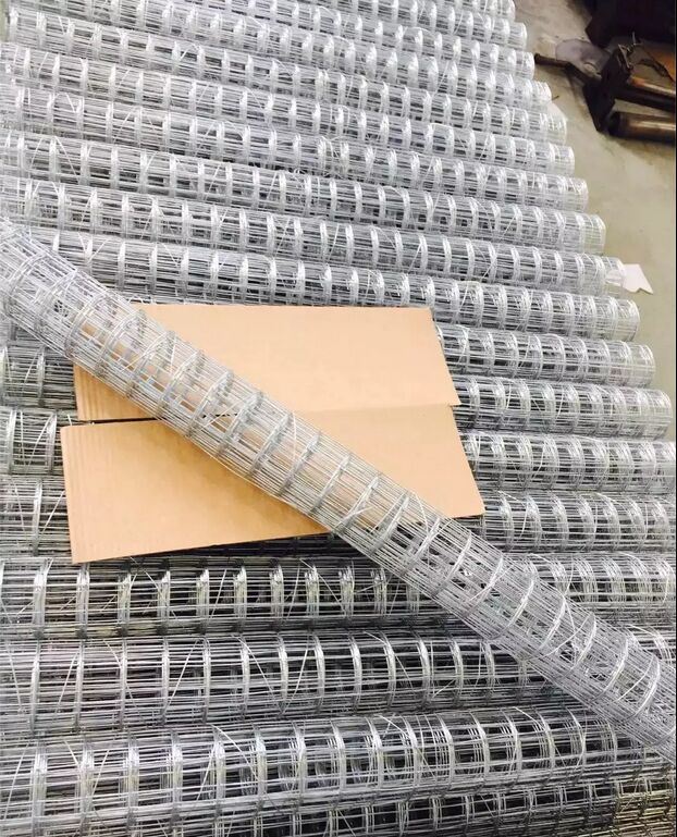 Hot Sale Welded Galvanized PVC Mesh China Manufacture Supply