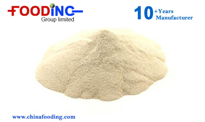 High Quality Fine Powder Sodium Bicarbonate Food Grade Manufacturer