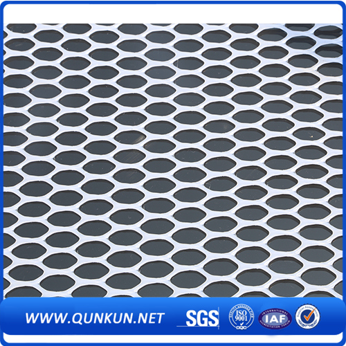Plastic Flat Wire Mesh Anping Factory