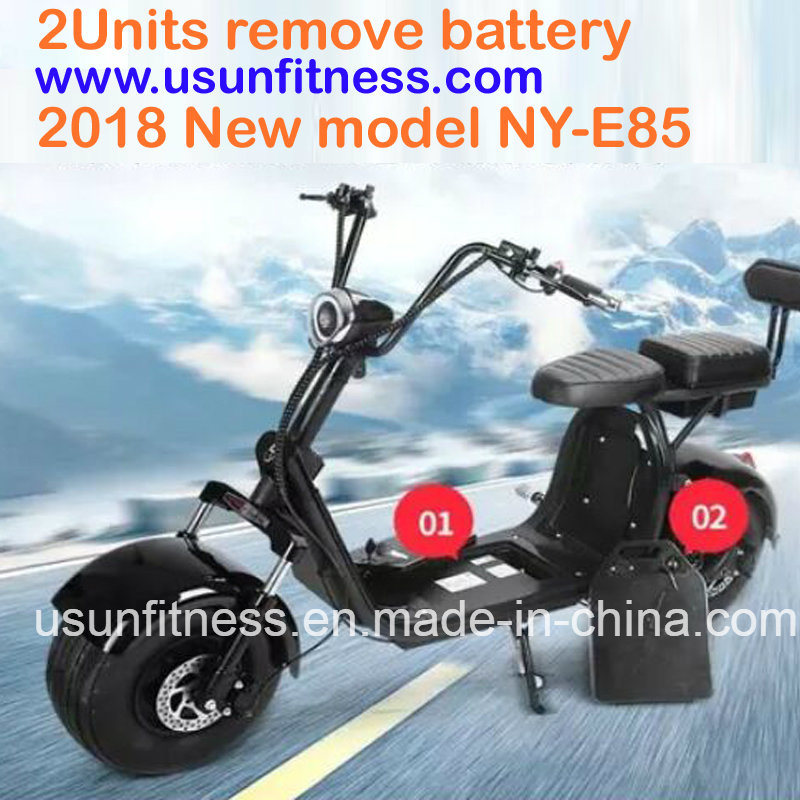 1500W Fat Wheel Tire Usun Harley Citycoco Ebike with Ce