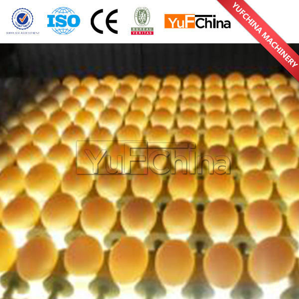 Egg Grading Sorting Machine for Egg Processing Factory