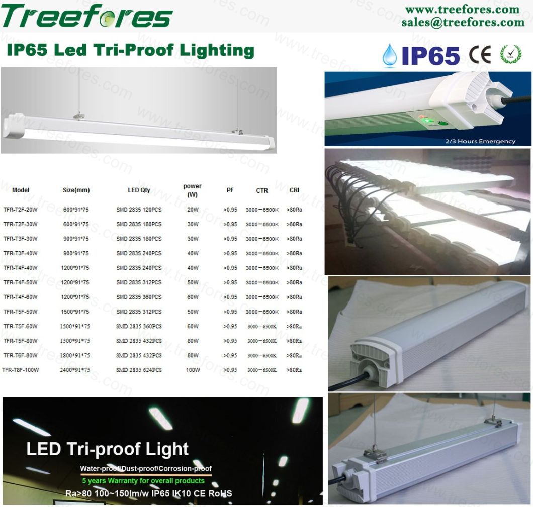 20W 2FT T8 LED Light IP65 Office Warehouse Tunnel Lighting IP65