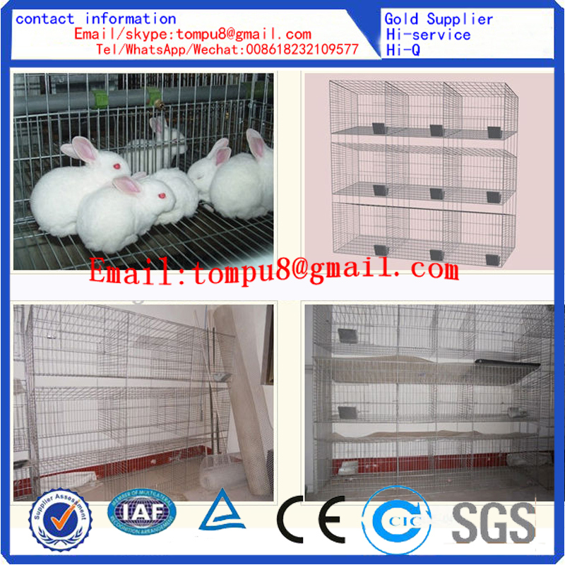 Rabbit Cages Widely Exported to Africa