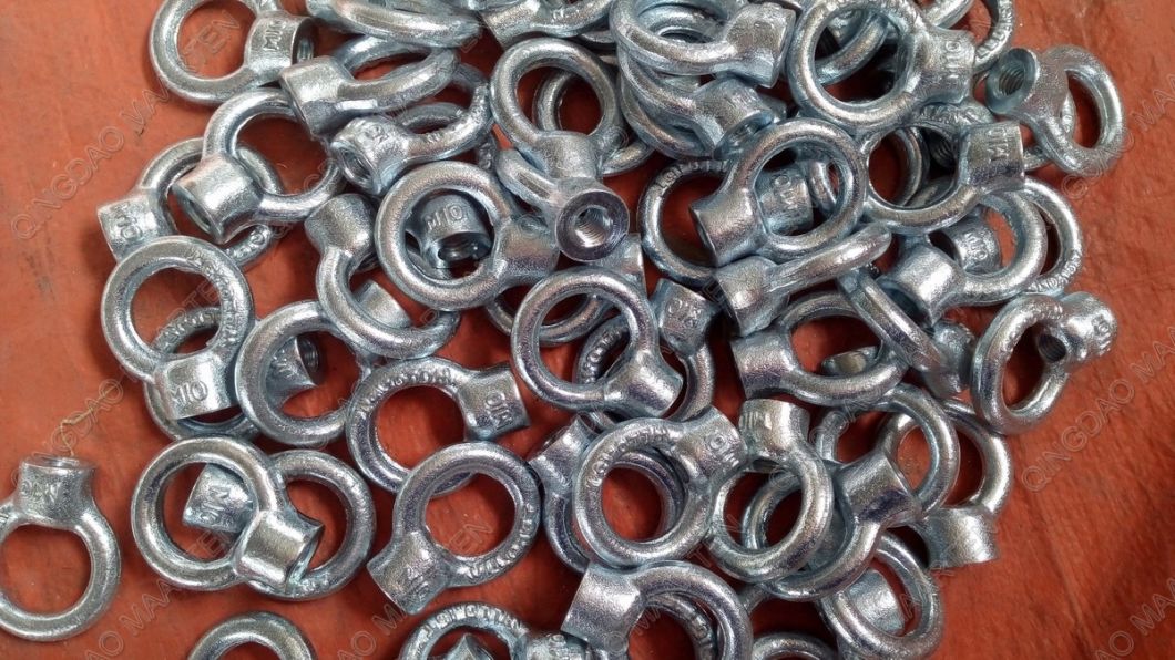 Stainless Steel DIN580 Forged Eye Bolt