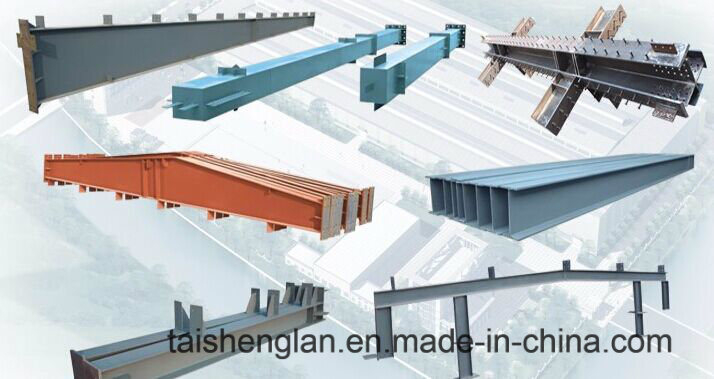 Made in China Customized Design Steel Structure