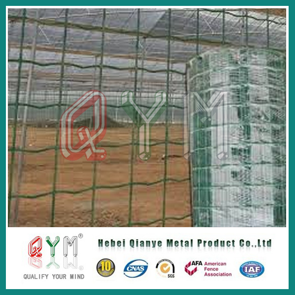 Galvanised and PVC Coated Euro Fence/Euro Fence Panel for Garden