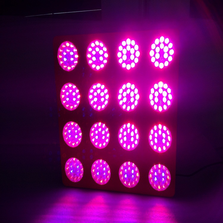 High Power 1000W Full Spectrum LED Grow Light for Greenhouse