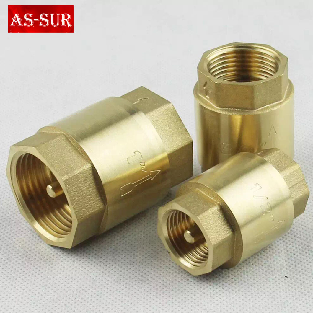 Brass Spring/Swing Check Valve