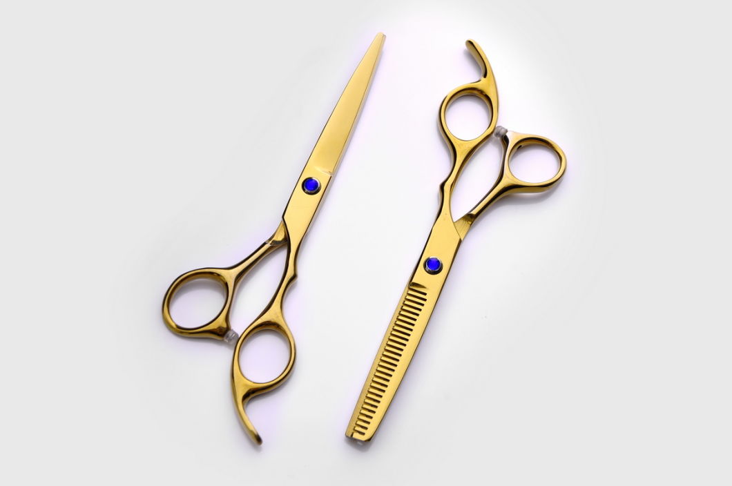 6inch Pet Dog Beauty Hairdressing Salon Hair Shears Kit