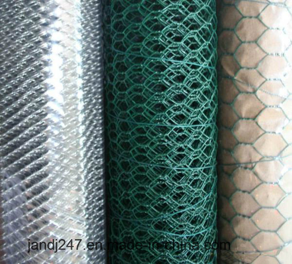 High Quality Hexagonal Wire Netting Chicken Wire Mesh PVC Coated Galvanized Hexagonal Wire Mesh in Guangzhou