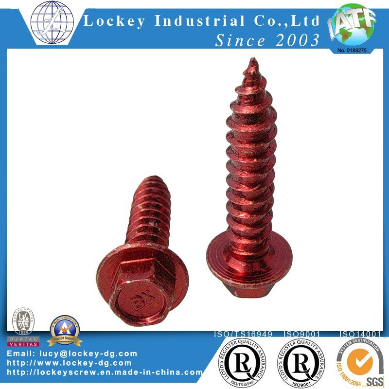Stainless Steel 304 Hex Head Self Drilling Tapping Screw with Boned Washer