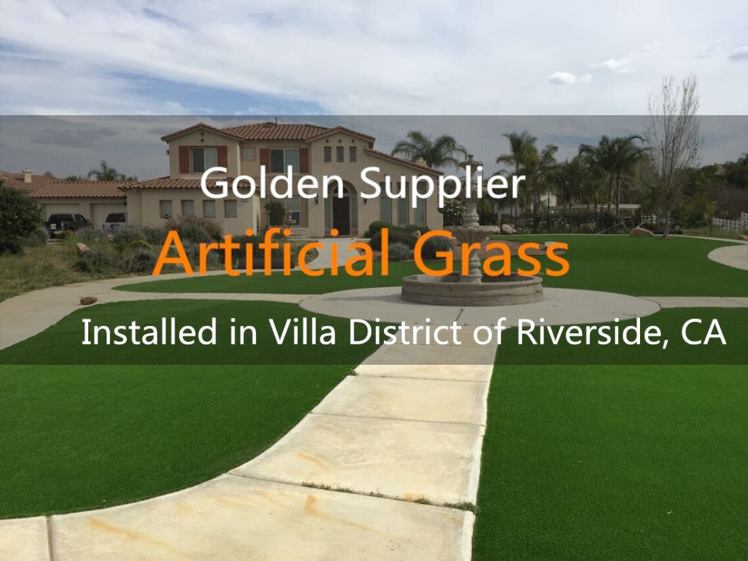 Garden and Backyard Use Artifical Grass (VS)