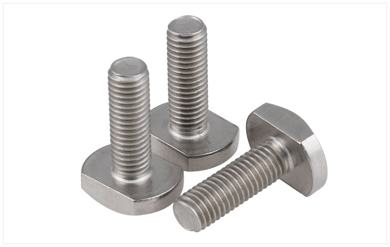 Stainless Steel Eye Anchor Bolt T Head T-Bolt