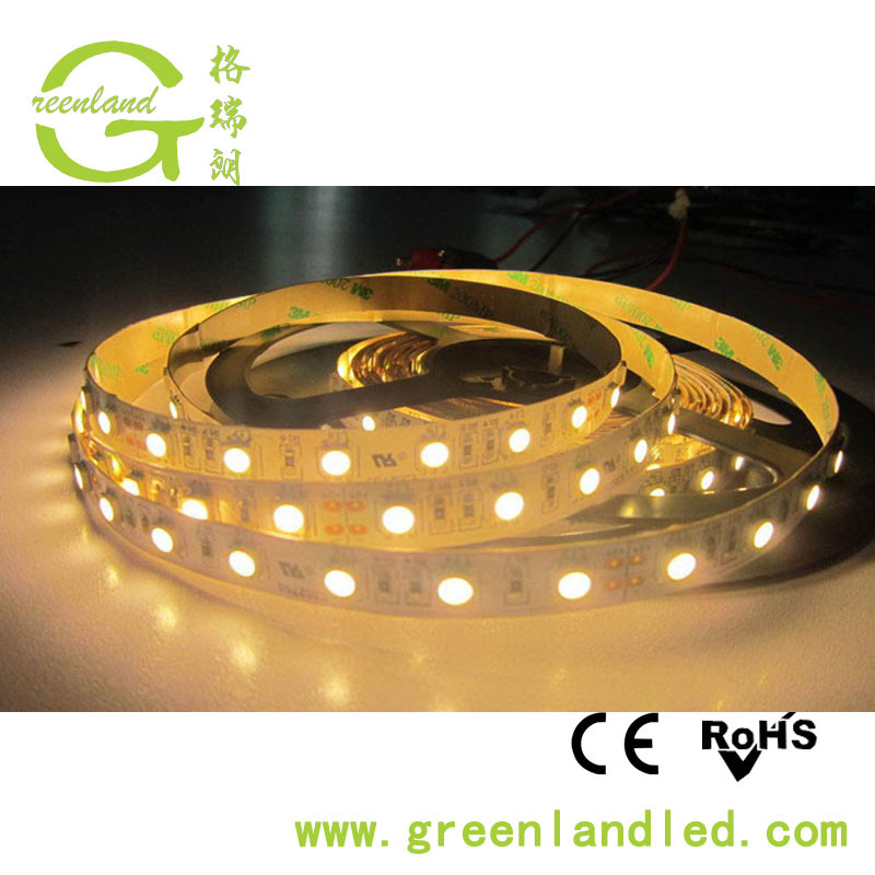 Ce RoHS 12V 24V 60LEDs 5050 LED Strip Light