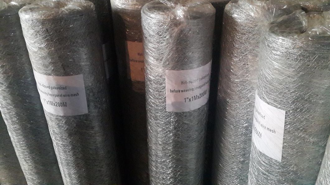 High Quality Galvanized Hexagonal Wire Mesh