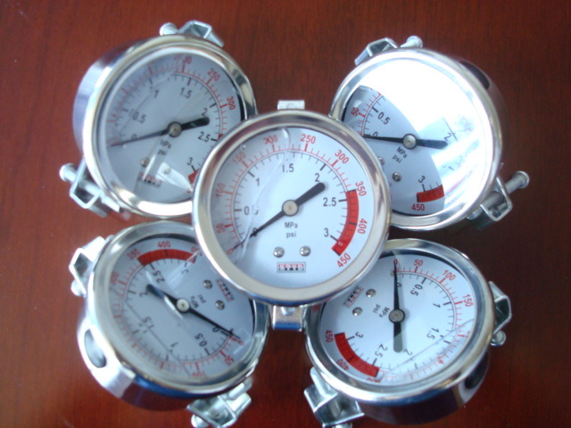 High Quality Pressure Gauge Water Treatment Accessories