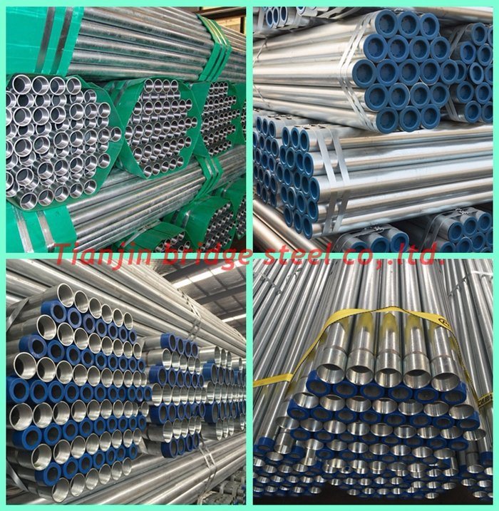 ASTM A53 Hot Dipped Galvanized Steel Pipe for Greenhouse (48.3mm BS1387)