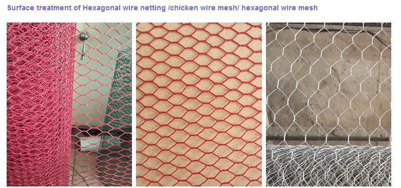 PVC Coated Hexagonal Wire Mesh Made in China
