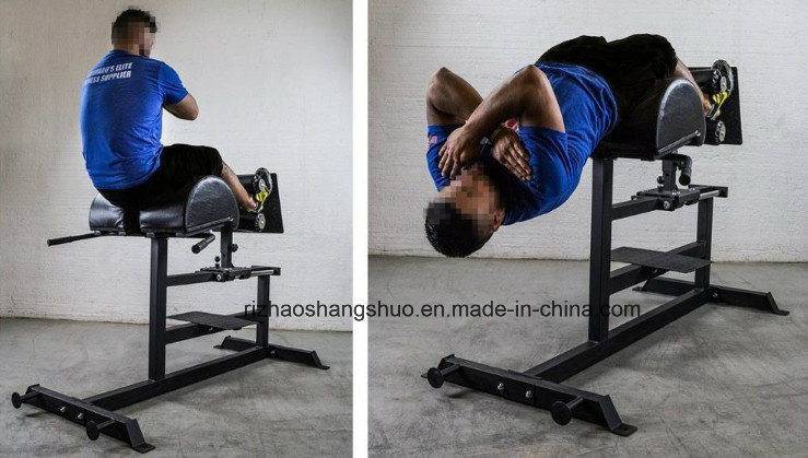 Custom Gym Commercial Crossfit GHD Roman Chair