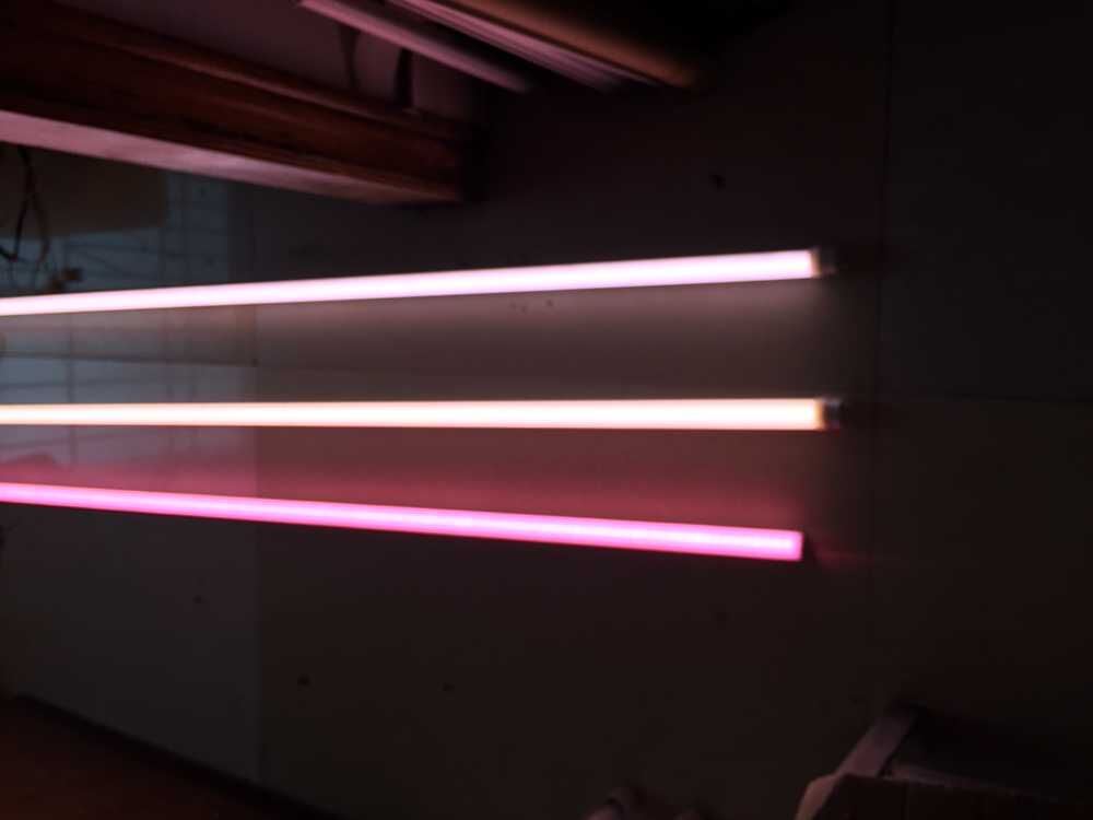 Pink 60cm 2FT 9W T8 Fresh Meat LED Tube