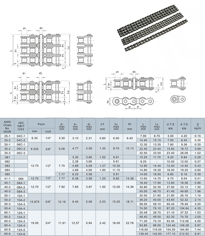 Double Pitch Transminnsion Roller Chains (B series)