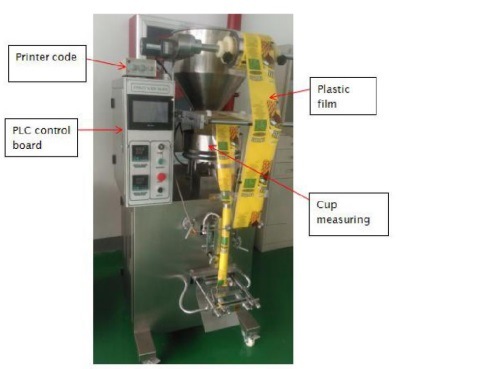 Ds 100g Automatic Packing Machine/Equipment