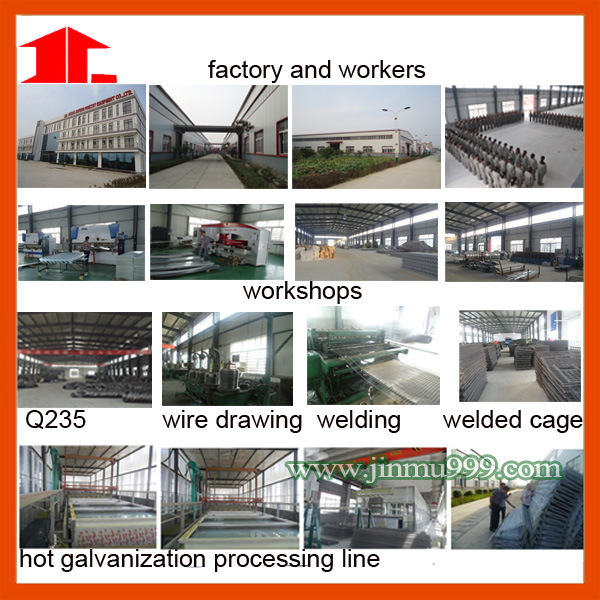 High Quality Steel Poultry House Chicken Farm Equipment