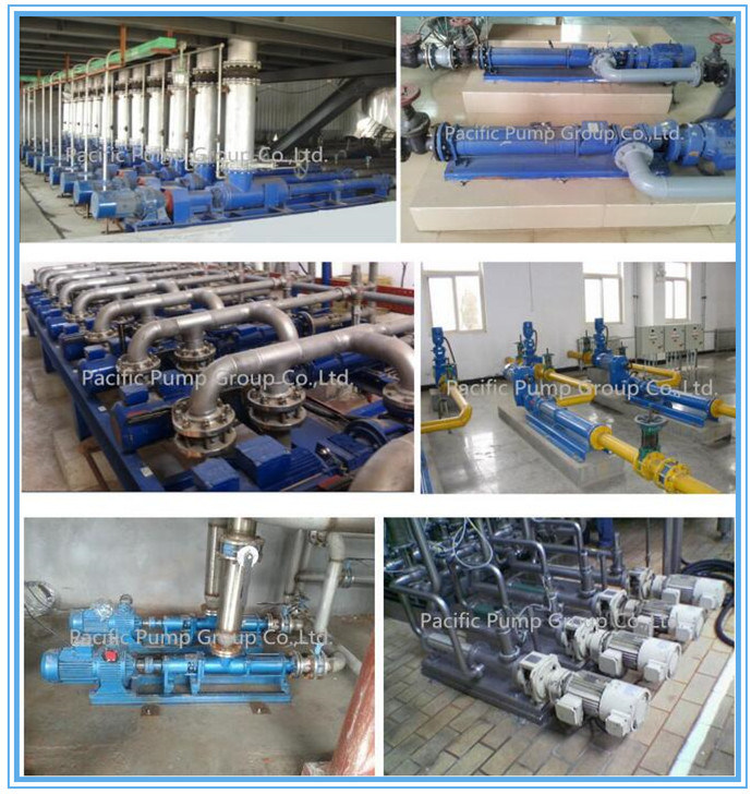 High Quality G Mono Screw Pump, Progressive Cavity Pump