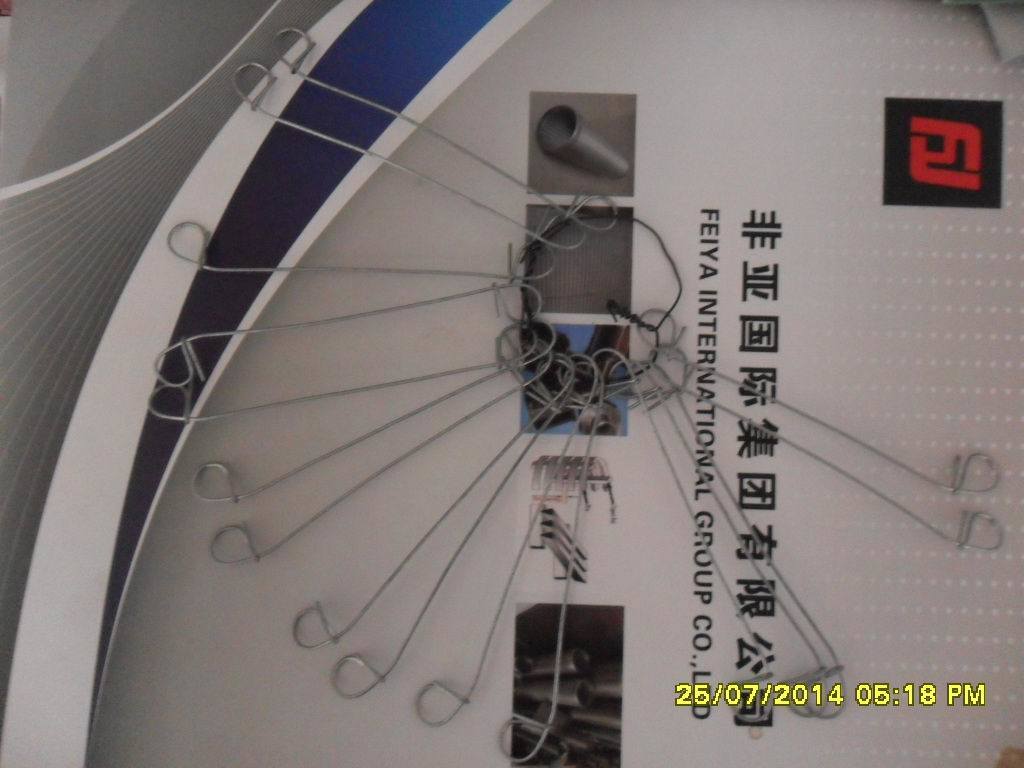 Galvanized Iron Wire / Building Materials