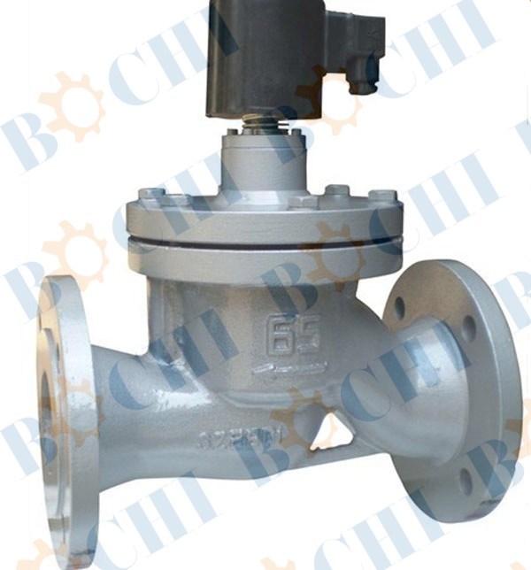 Stainless Steel 110V/220V Normally Closed Steam Solenoid Valve