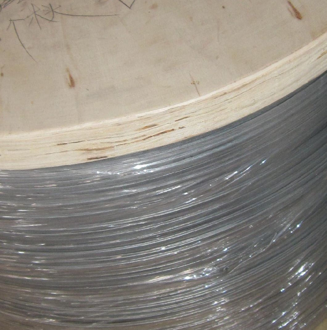 Galvanized Flat Wire of 0.8mmx4.0mm