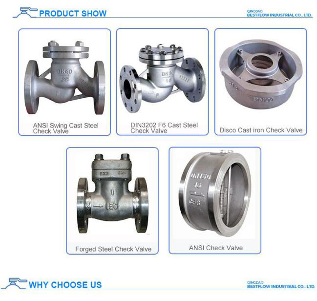 Dn50 Cast Iron Water Check Valve