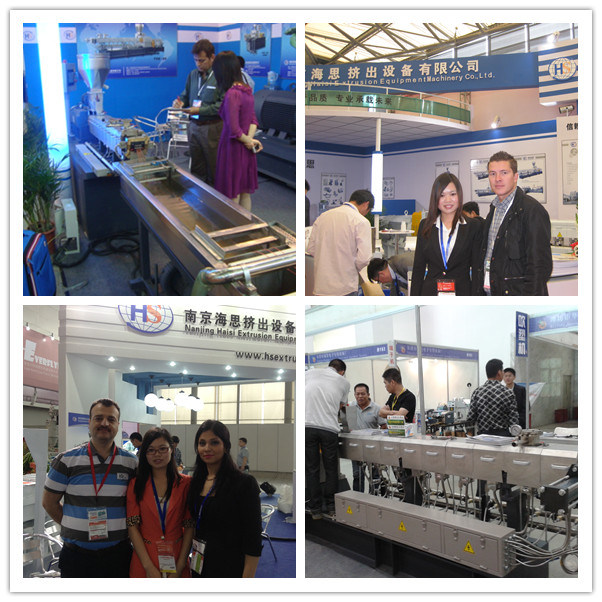 Nanjing Kairong Tse-95b Twin Screw Extruder for Recycling The Plastic