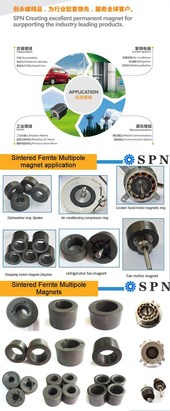 Hard Ferrite/Ceramic Anisotropic Multipole Rings Magnet for Motor