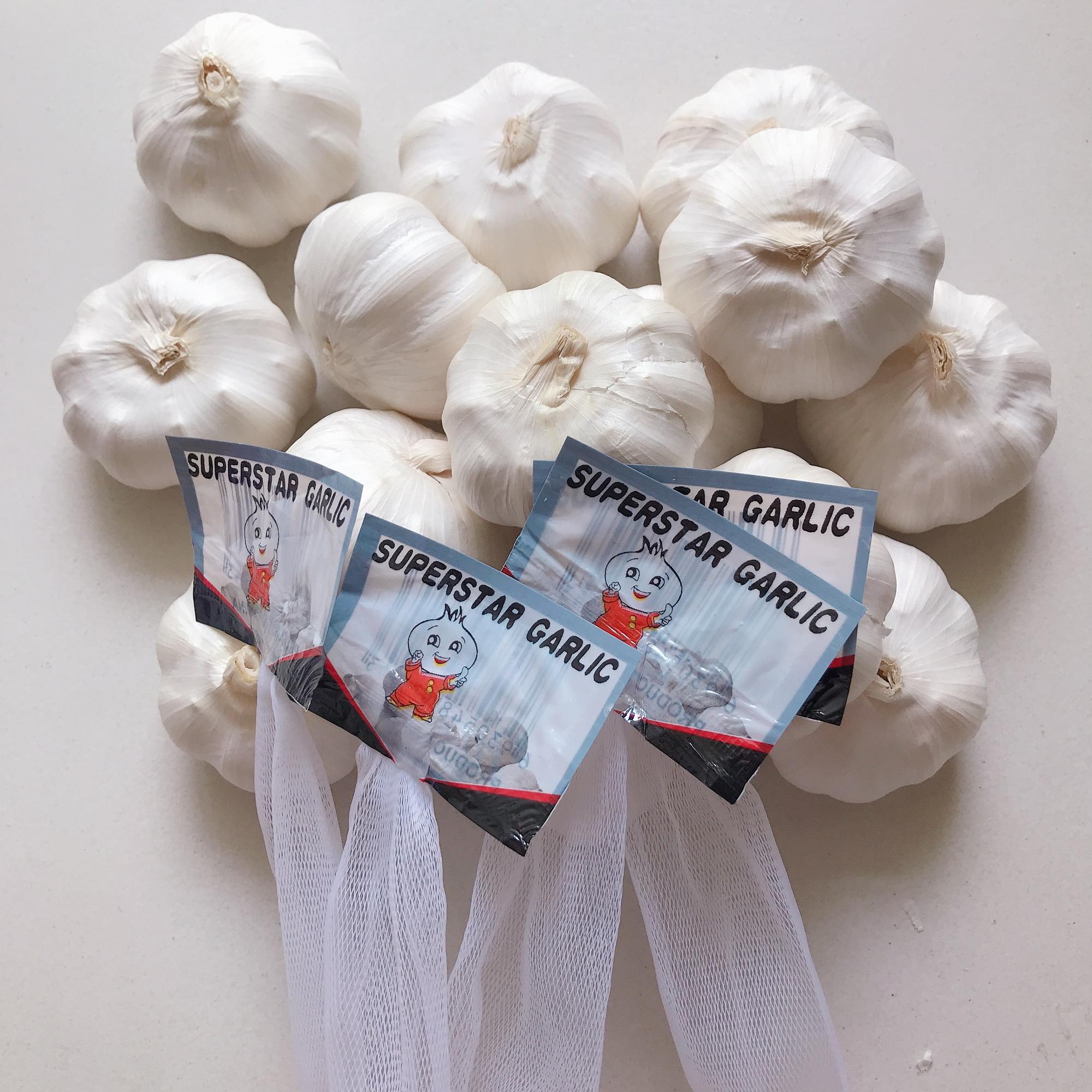 NEW Fresh Jin xiang 5p Garlic NEW Fresh Jin xiang 5p Garlic