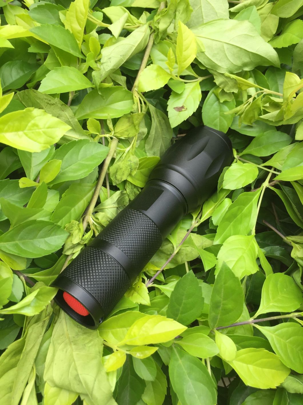 Promotions! LED T6 10W 5 Mode 1200lm Rechargeable LED Flashlight