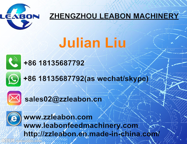 High Efficiency Auto Weighting Rice/Pellet Packaging Machine for Sale