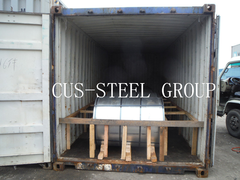 Boxing Shandong Galvanised Steel in Coil/Galvanized Iron Steel Sheet