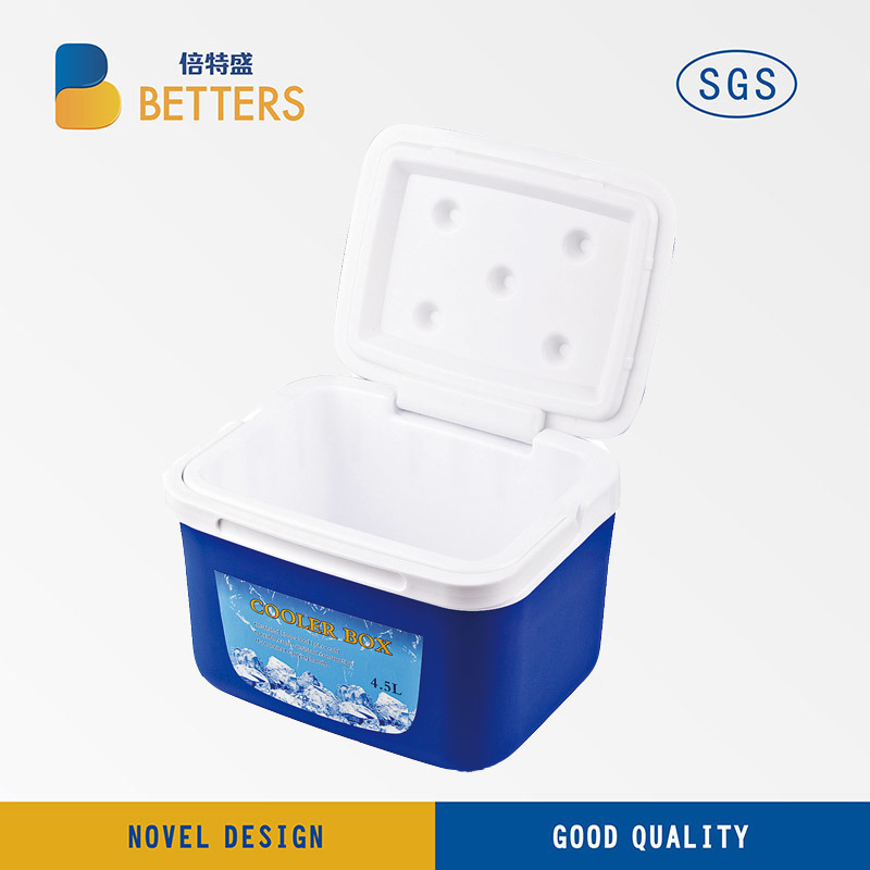 Portable Plastic Cooler Storage Box for Outdoor