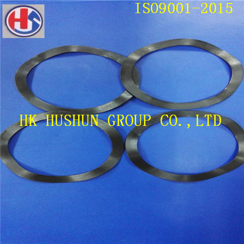 Stainless Steel Ball Spring Washer with Black Phosphating (HS-SW-6204)