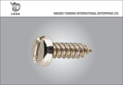 Slotted Pan Head Self-Tapping Screw High Quality, 2016, New