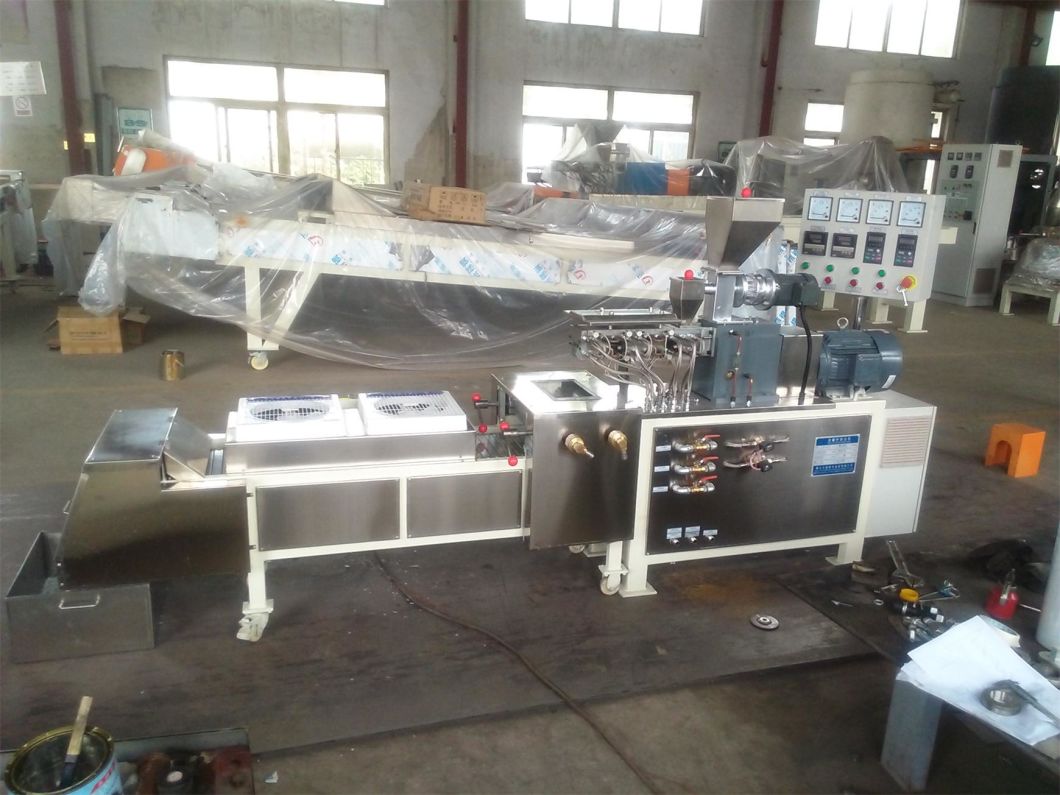 Twin Screw Extruders for The Powder Coatings Industry Made with a Co-Rotating Twin Screw Extrusion